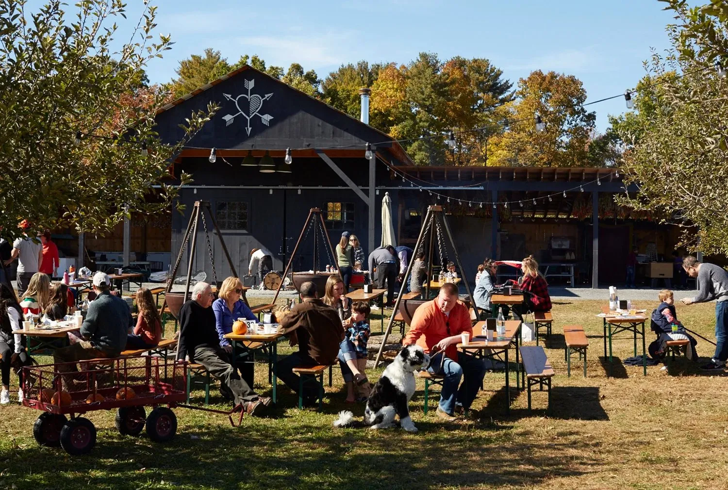 Westwind Orchard