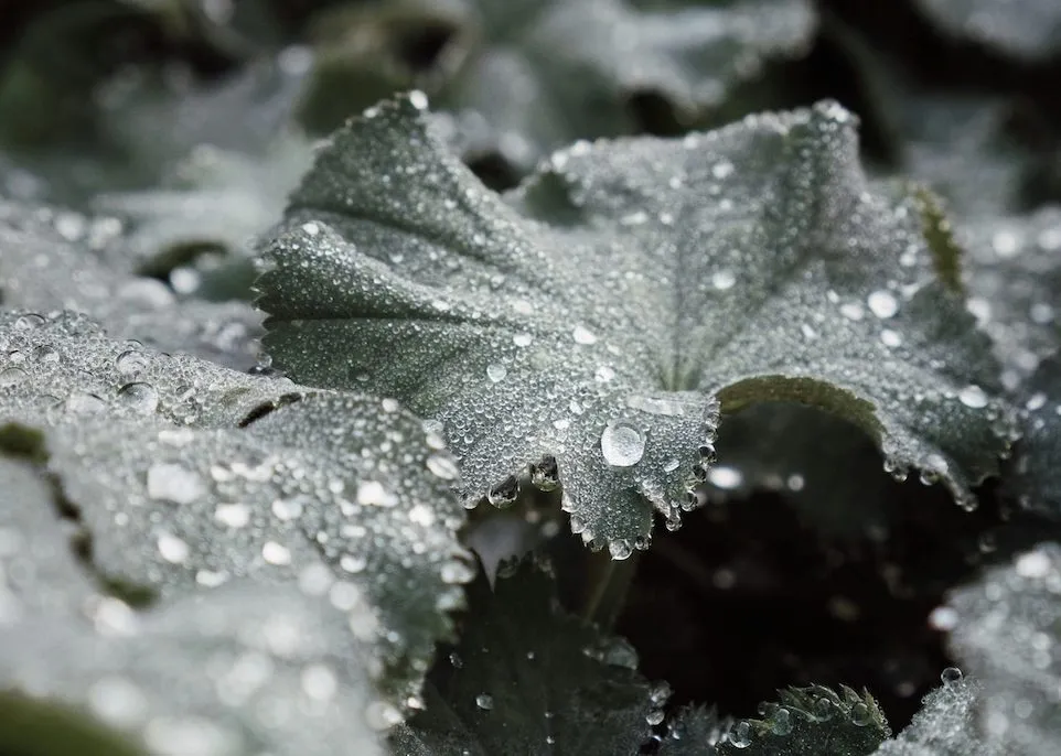 Breathscapes with Amy Shearer