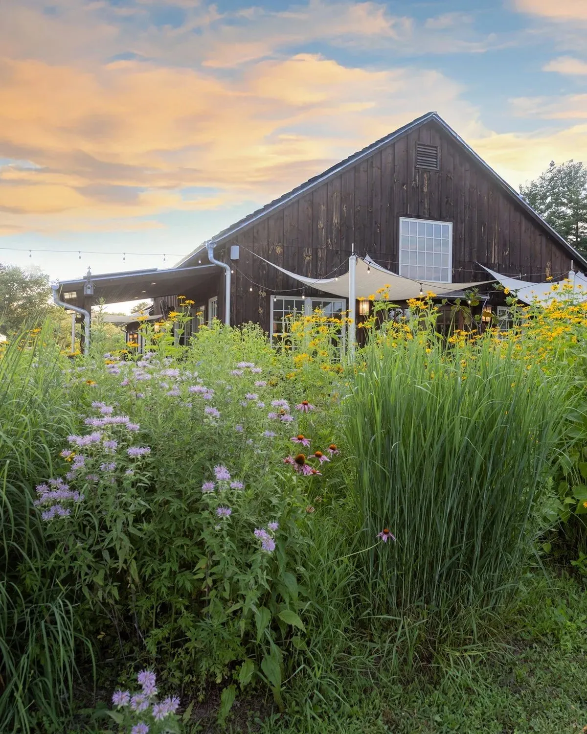 Arrowood Farms