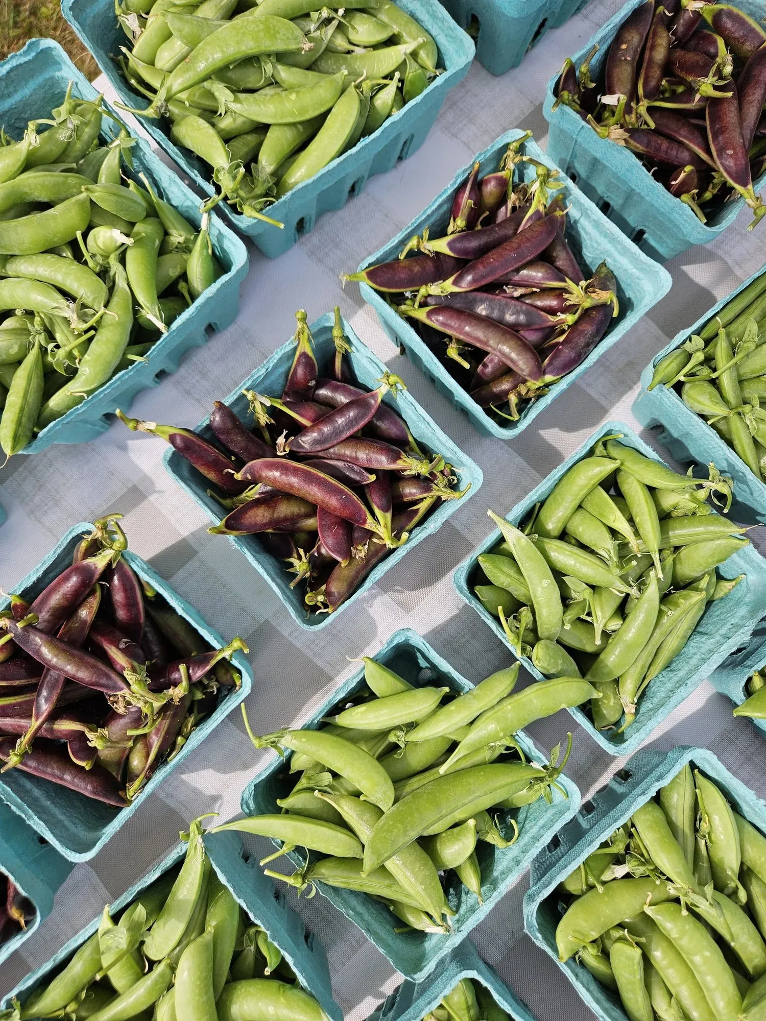 Phoenicia Farmers Market